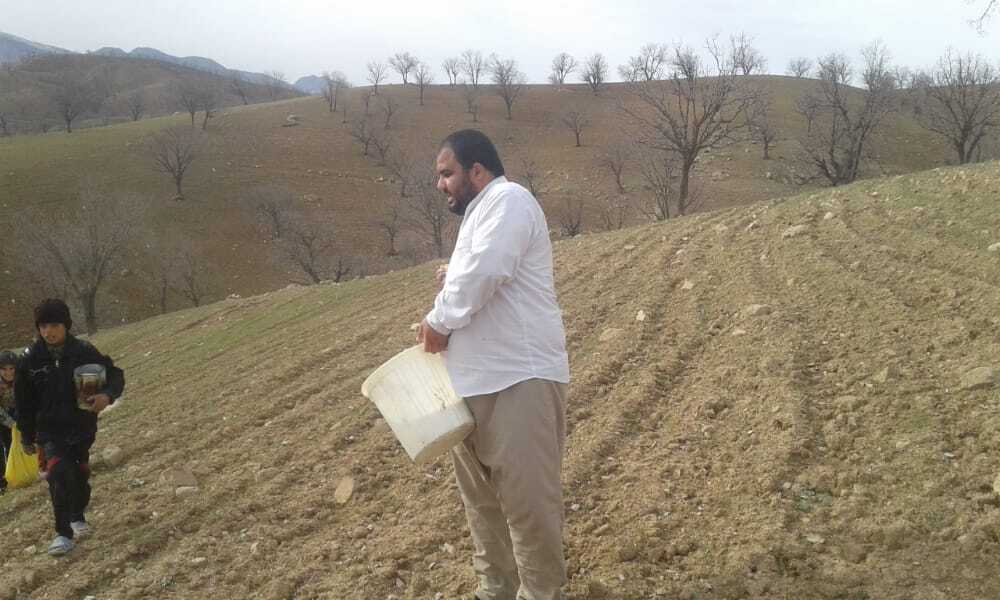 زمین های کشاورزی روستای &laquo;دره وار&raquo; جان تازه گرفتند