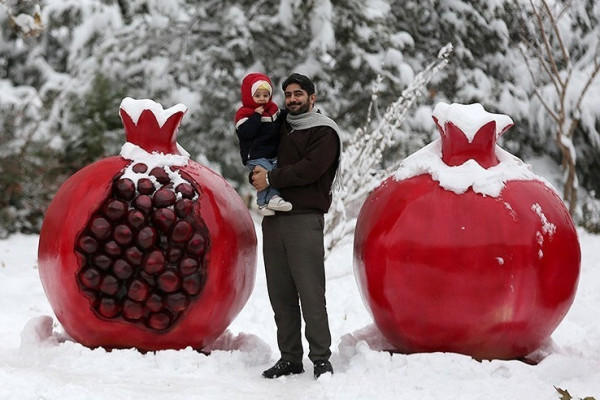 بارش برف در دیار الوند استوار